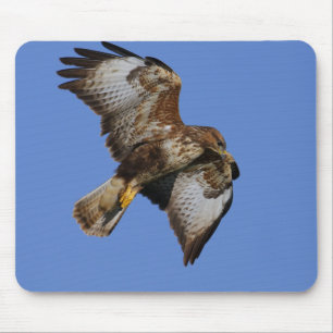 Birds of Prey Mousemats