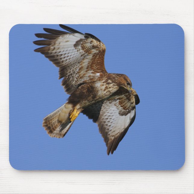 Birds of Prey Mousemats (Front)