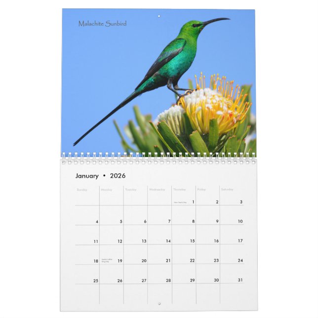 Birds of South Africa Calendar (Jan 2026)