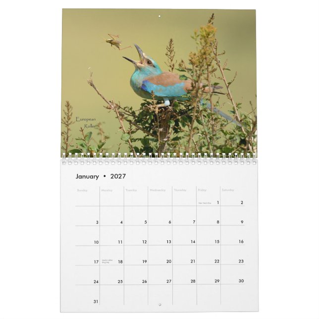 Birds of Tanzania Calendar (Jan 2027)