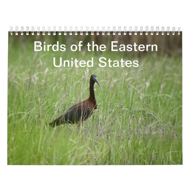 Birds of the Eastern United States calendar (Cover)