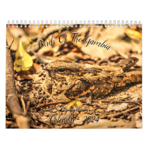Birds of The Gambia 2024 Calendar