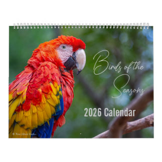 Birds of the Seasons 12 Month Nature Calendar