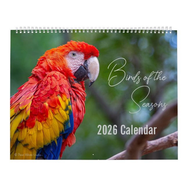 Birds of the Seasons 12 Month Nature Calendar (Cover)