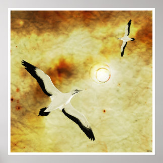 Birds of The Sun Poster