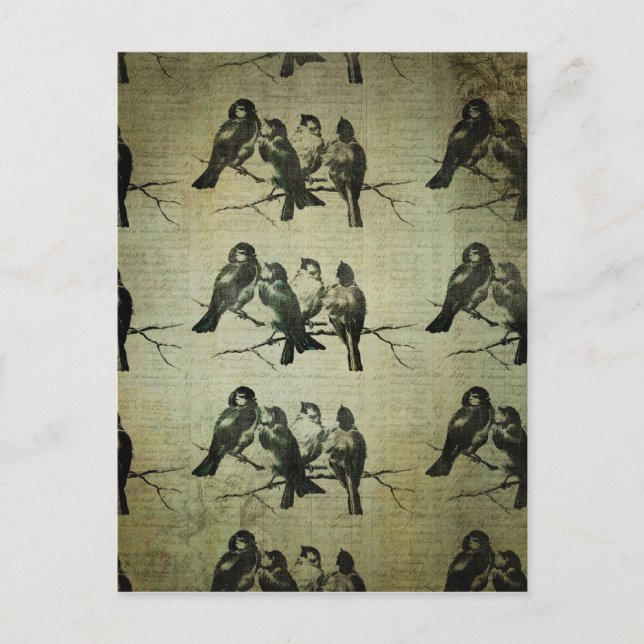 Birds on a Branch BAckground Postcard (Front)
