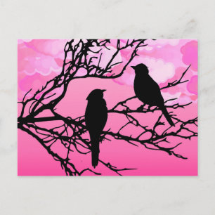 Birds on a Branch, Black Against Dawn Pink Postcard