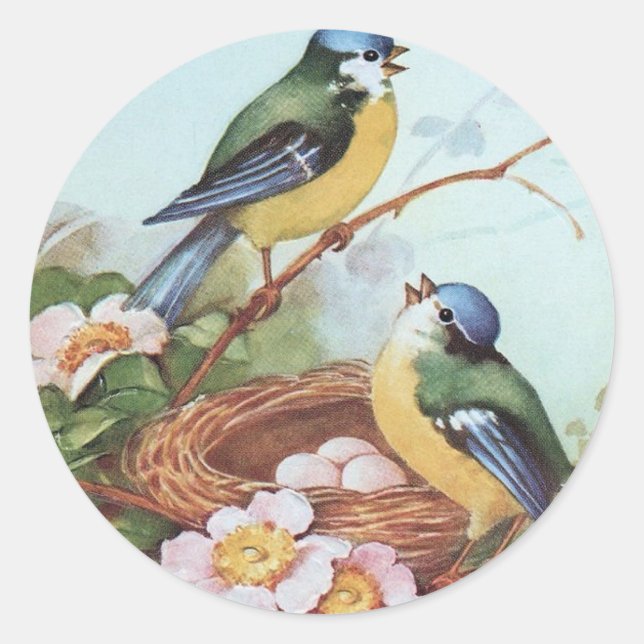 Birds on a Nest - Sticker (Front)