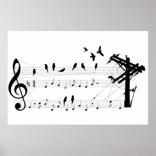 Birds on a Score poster