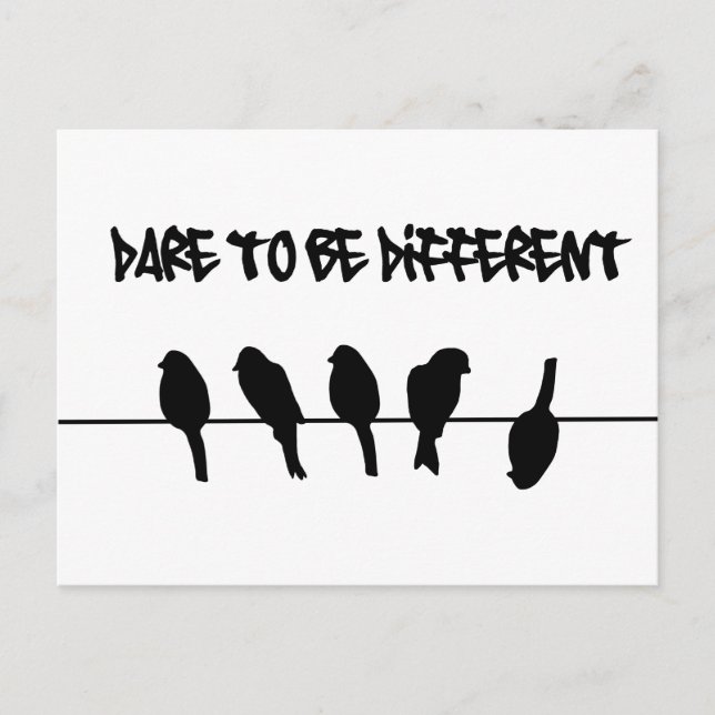 Birds on a wire – dare to be different postcard (Front)