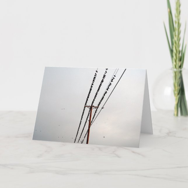 Birds on a Wire Holiday Card (Front)