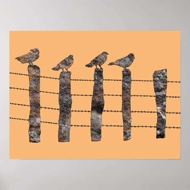 Birds on a Wire Poster (Front)