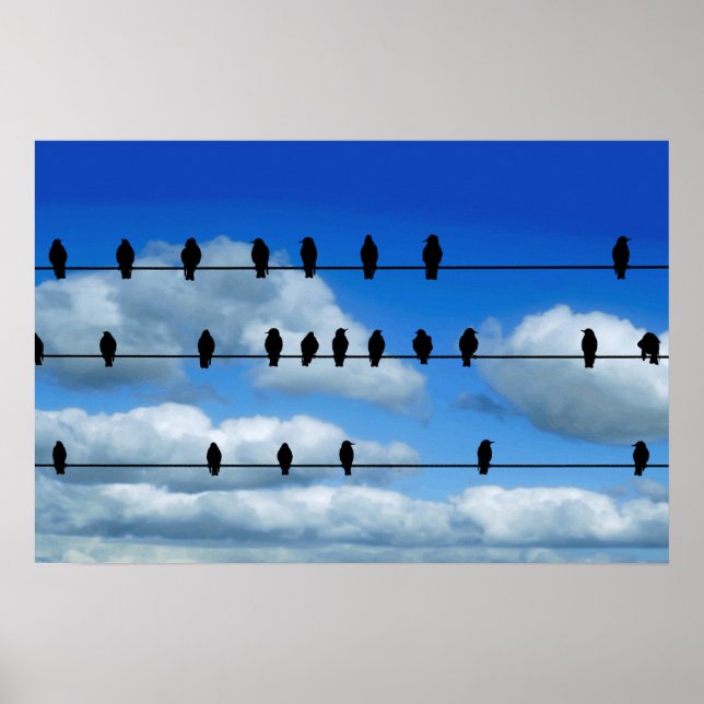 Birds On A Wire Poster (Front)