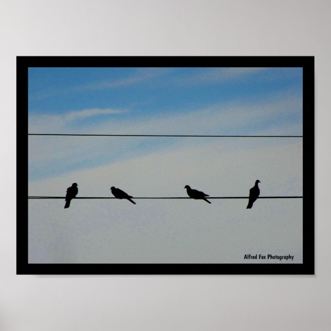 Birds on a Wire Poster (Front)