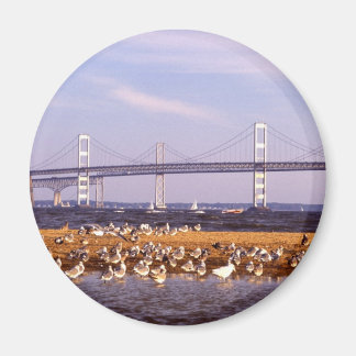 Birds on Chesapeake Bay Magnet