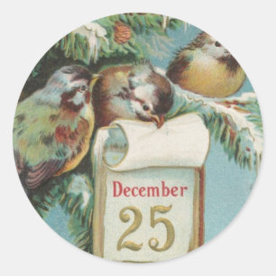 Birds on Decemeber 25th Classic Round Sticker