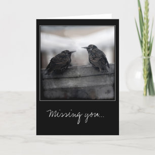 Birds on Missing You greeting card