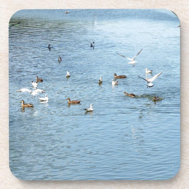 Birds On Summer River Coaster (Front)
