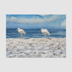 Birds on the Beach Tissue Paper
