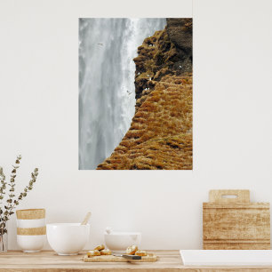 Birds on the rocks poster