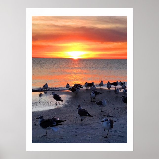 Birds On The Shore Poster (Front)