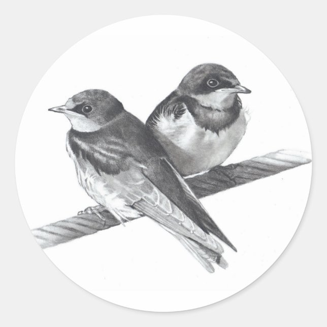 BIRDS ON WIRE: BABIES: PENCIL ARTWORK CLASSIC ROUND STICKER (Front)