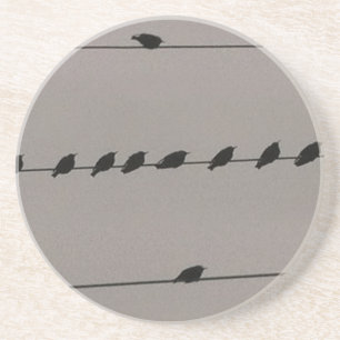 Birds on Wire Coaster