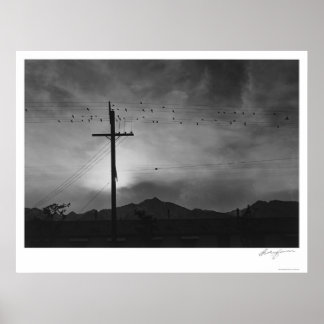 Birds On Wire, Evening 1943 Poster