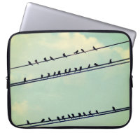 Birds on wires, vintage blue sky.