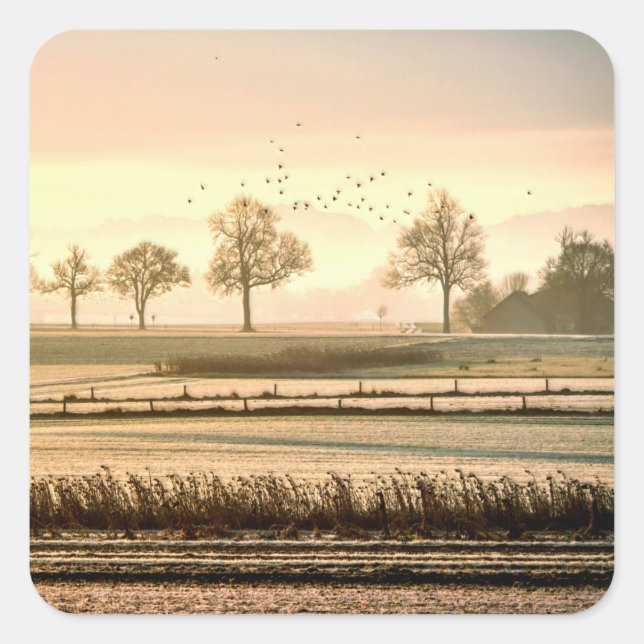 Birds Over Pasture and Meadow Square Sticker (Front)