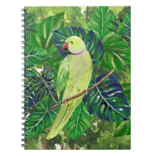 birds , parrots notebook