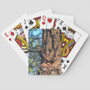 Birds Playing Cards