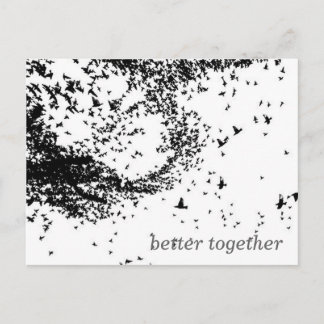 Birds Postcard