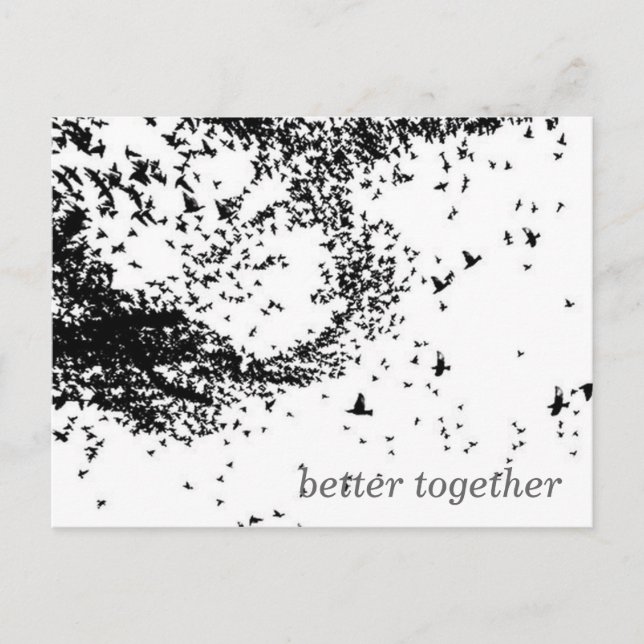 Birds Postcard (Front)
