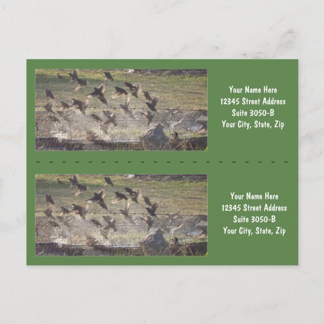 Birds Rising Bookmarkers - Customise! Postcard (Front)