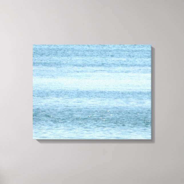 Birds, Sea Photo Stretched Canvas Print (Front)