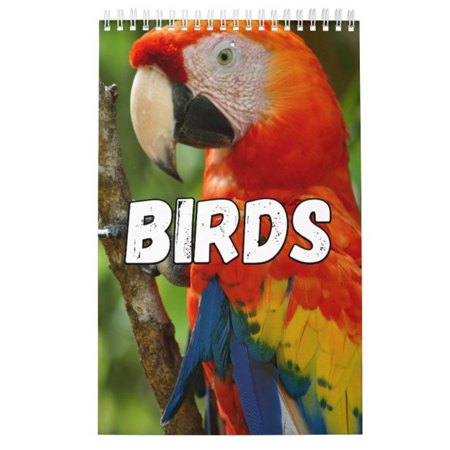 Birds Showcase Collection Wall Calendar (Cover)