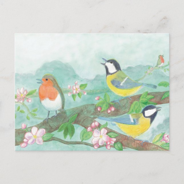 Birds singing on a blossoming tree branch  postcard (Front)