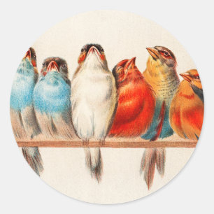 Birds Sitting Pretty and Calm Classic Round Sticker