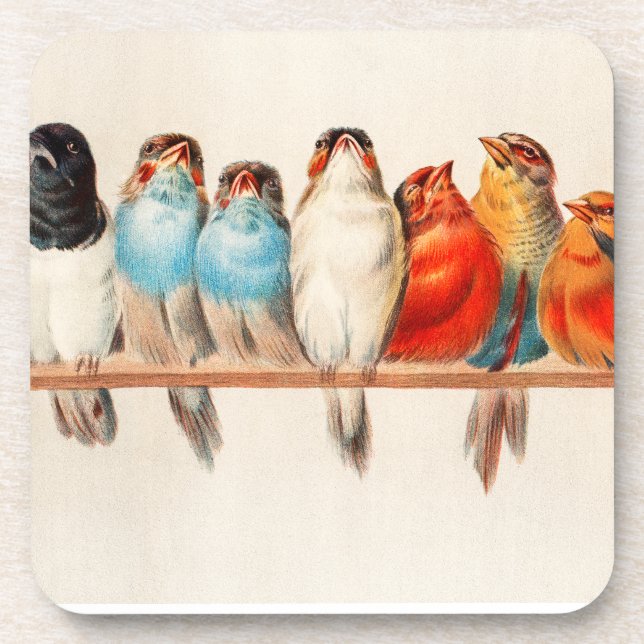 Birds Sitting Pretty and Calm Coaster (Front)