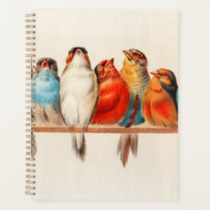 Birds Sitting Pretty and Calm Planner