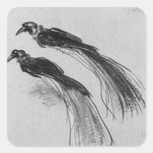 Birds Square Sticker