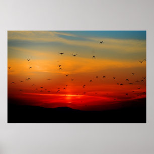 Birds Take Flight at Sunset, picturesque photo, Poster