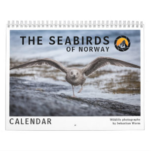 Birds Wildlife Photos 2027 Calendar