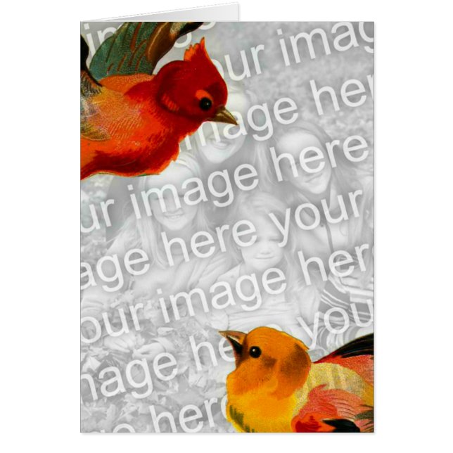 Birds Your Image Here (Front)