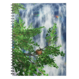 Birdsnest Falls Notebook