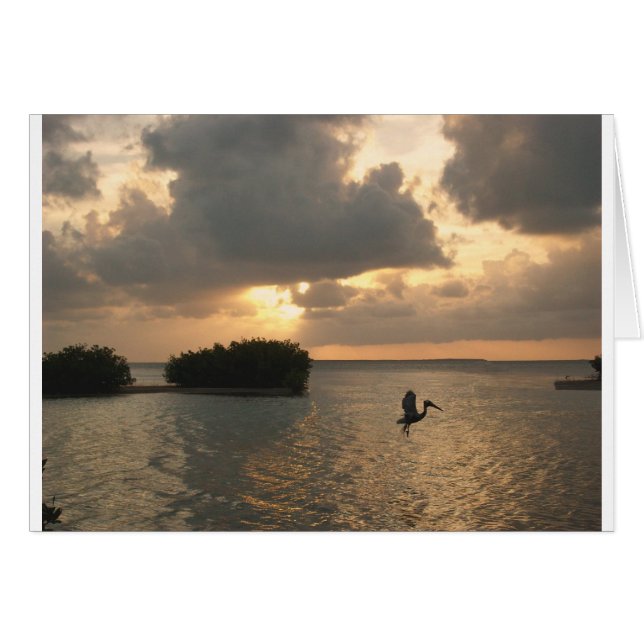 birdsun.jpg (Front Horizontal)