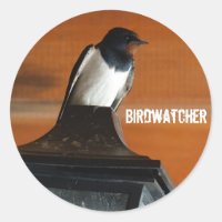 Birdwatcher Swallow Photo Classic Round Sticker