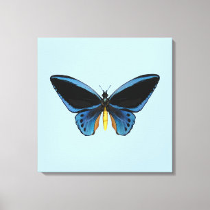 Birdwing Butterfly Canvas Print