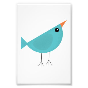 Birdy photo print